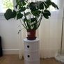 BRAND NEW 3 Tier Round Bedside Table Image 6