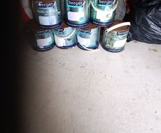 paint