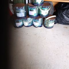 paint