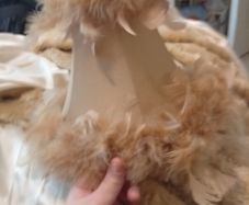 lamp shade