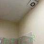 Mould Remover Image 5