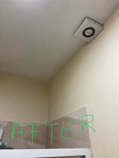 Mould Remover