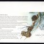 2014 Isle of Man Sepac Winter Flora Commemorative Stamp First Day Cover (FDC) Image 2