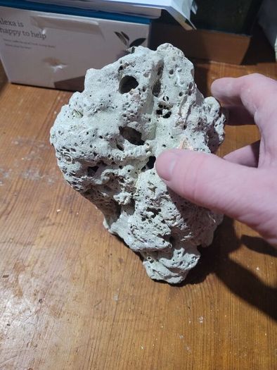marine rocks