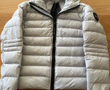 White canada goose