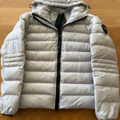 White canada goose