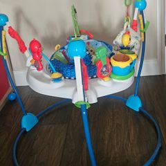 Baby Einstein Jumperoo