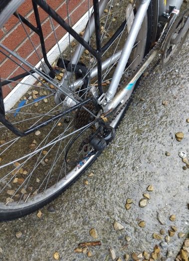 ladies bike falcon horizon