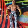 WWE WWF Elite Wrestling Figures Image 2
