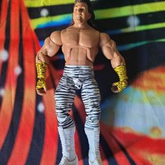 WWE WWF Elite Wrestling Figures