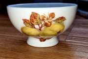 Shabby Chic Vintage Apple and Almonds Royal Grafton Mini Sugar Bowl