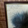 framed print - vintage Image 2