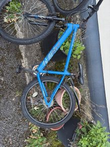 Apollo phaze bike