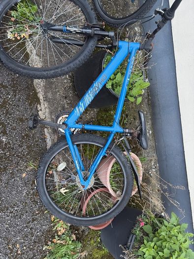 Apollo phaze bike