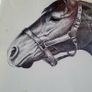 70s pair of framed equine pencil drawings Image 3