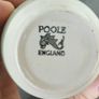 Vintage Poole Pottery Twintone Coffee Set, Ice Green & Seagull Image 2