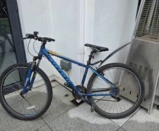 Carrera mountain bike