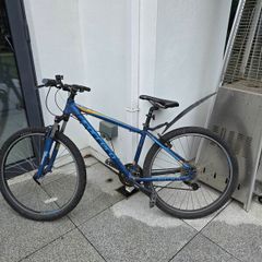 Carrera mountain bike