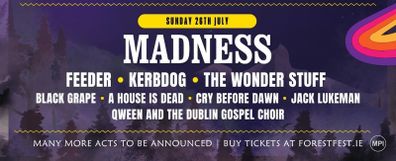 Sunday only ticket Forest Fest
