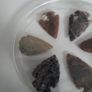Indian arrow heads Image 3