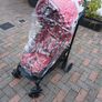 Buggy Image 4