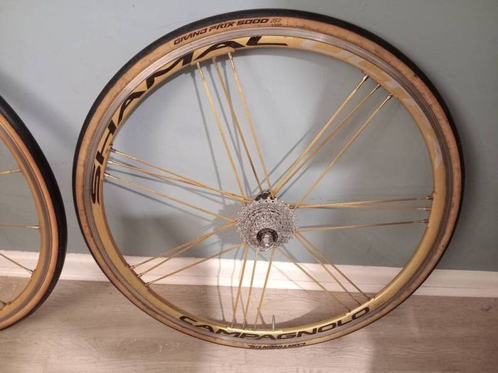 Gold Campagnolo Shamal Wheelset (Super Rare)
