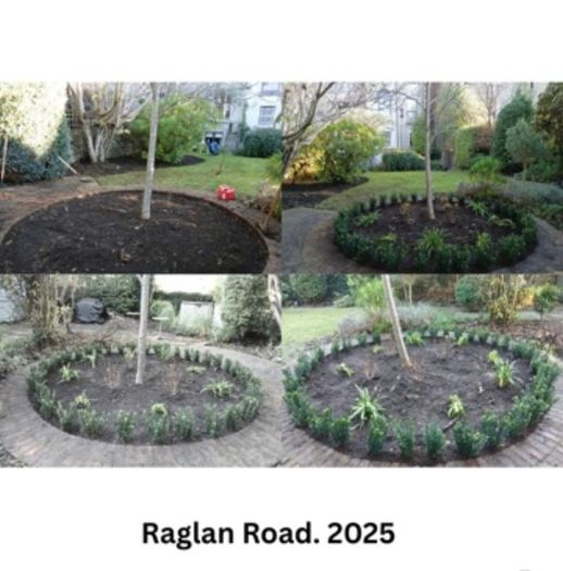 Professional Garden Maintenance - Dublin & North Wicklow
