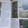 Black's picture information books/ Wild Flowers of verges & waste land/ 1977 Image 9