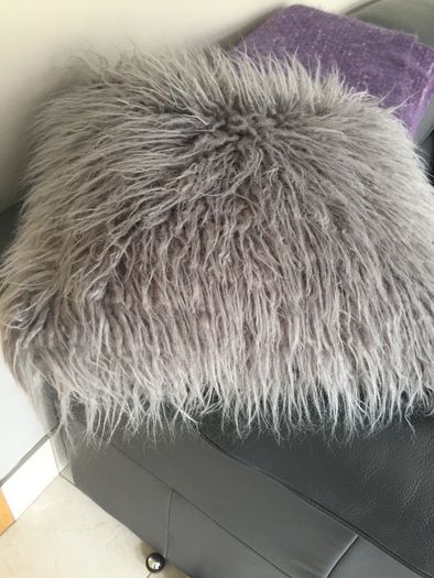 cushion