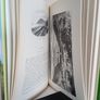 Ireland 100 Years Ago by Richard Lovett (RB512) Image 4