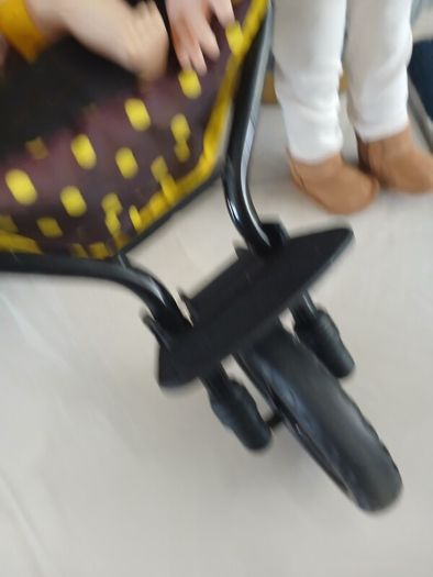 dolls and  buggy