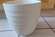 Plant pot