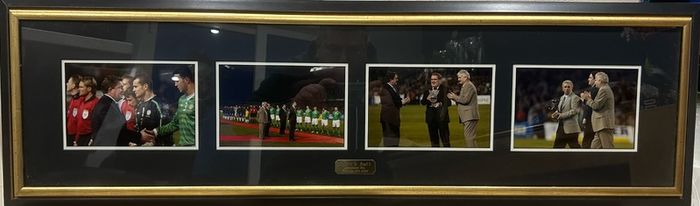 Ireland vs Brazil