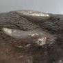 Comyns Country Artists Silver Filled Vintage Rabbit Figure Hallmarked Image 3