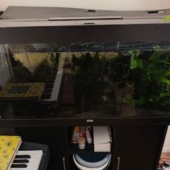 300L Aquarium