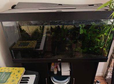 300L Aquarium