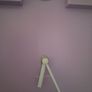 Karlsson Cuckoo Clock Image 2