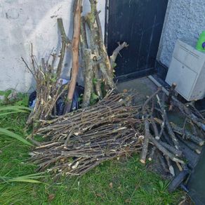 free dry wood, fire wood
