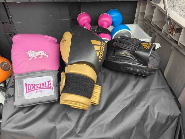 Punch bag with gloves and bracket