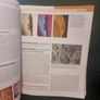 Oral Anatomy, Histology and Embryology Image 8
