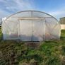 Polytunnel Image 5