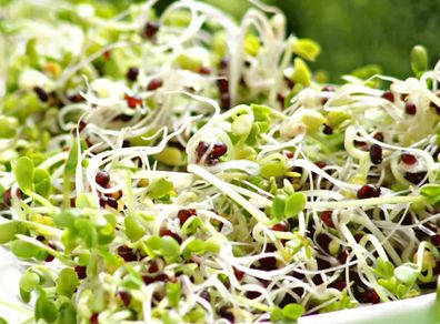 (M) Broccoli Sprouts and Microgreens seeds 10g (124923)
