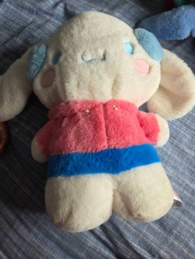 teddy