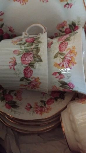 18piece Queens Woman And Home Rosina China Tea Set