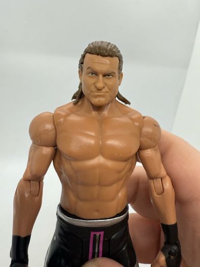 wwe Dolph Ziggler action figure