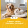 Grooming Table for Dogs Dog Grooming Table with Loop Foldable Steel Legs Non-Slip Tabletop 81x48,5x80 cm Black Image 5