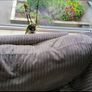 Two seater couch Image 3