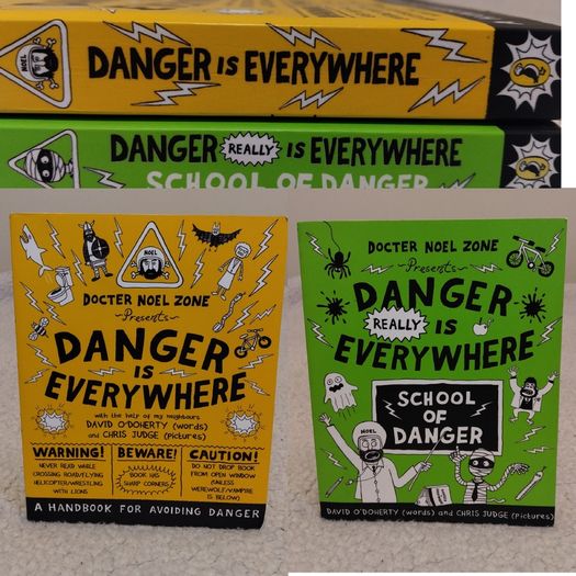 Danger Is Everywhere Books By Noel Zone