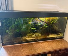 Juwel fish tank aquarium 240L fully equipped