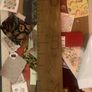 Giant ruler, height measure Image 5